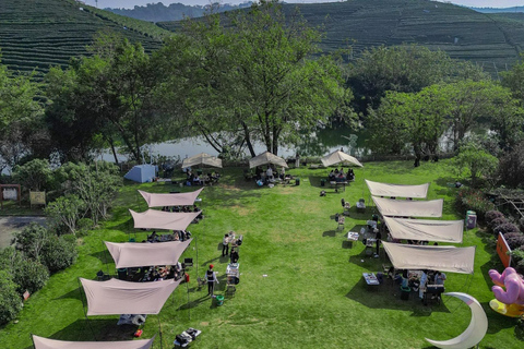 Hangzhou: Tea Picking, Tea Hills Hike & BBQ