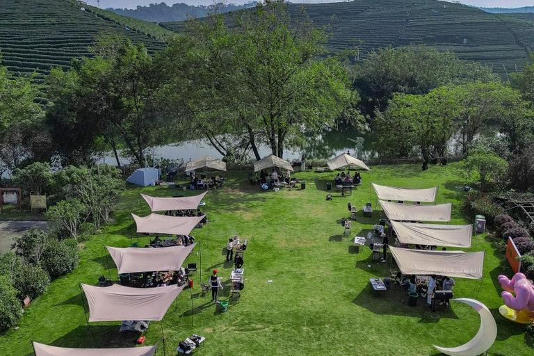 Hangzhou: Tea Picking, Tea Hills Hike & BBQ