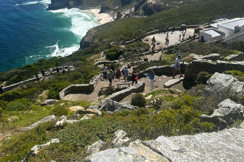 Kapstaden: Bo-Kaap, Taffelberget och Groot Constantia...