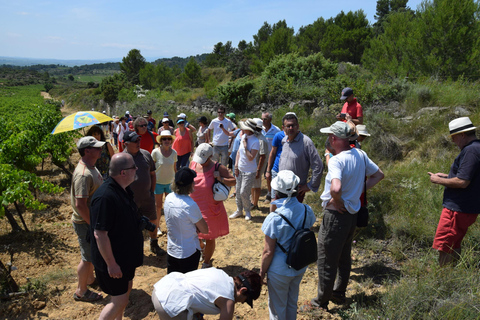 Massmamier La Mignarde : Wine Tasting Massmaier La Mignarde : Wine Tasting