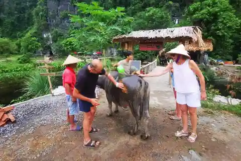 Ninh Binh: Motorbike Tour with Pagoda & Countryside Villages