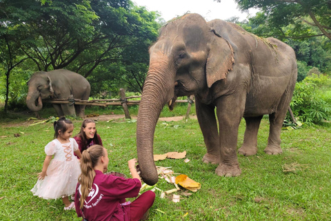 4 Experiences: Elephants, Sticky waterfalls, Market &amp; templeElephants: Sticky waterfalls: Local Market: Wat Banden