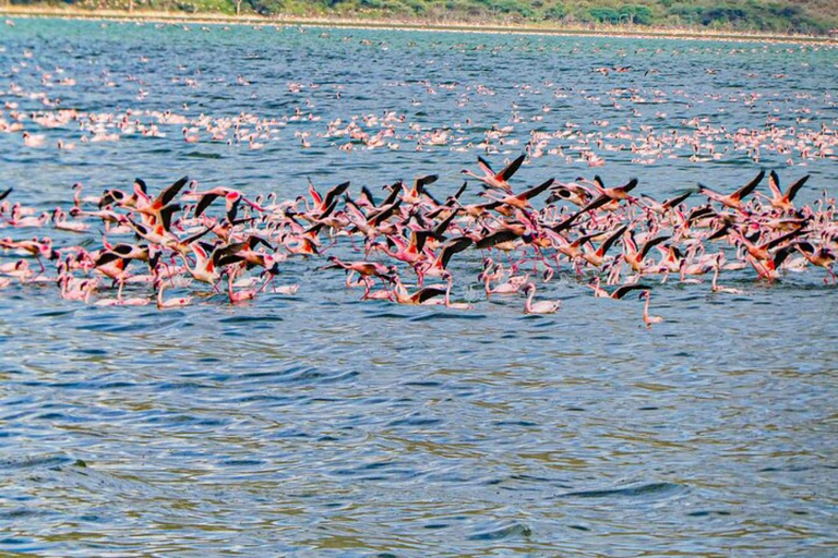 Nairobi: Lake Bogoria Canoe and Birdwatching Tour