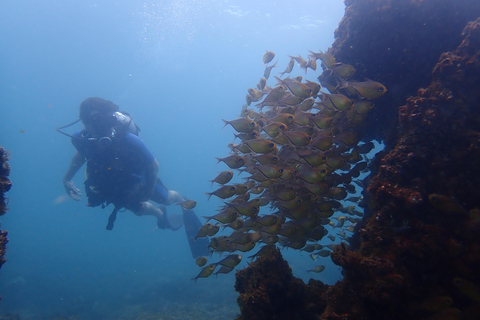 Departure from Salvador: Scuba Diving in the Waters of Baía de Todos os Santos Porto da Barra Scuba Dive Baptism
