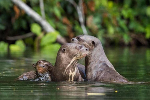 Puerto Maldonado: 3-Day Amazon Jungle Tour with Lodging