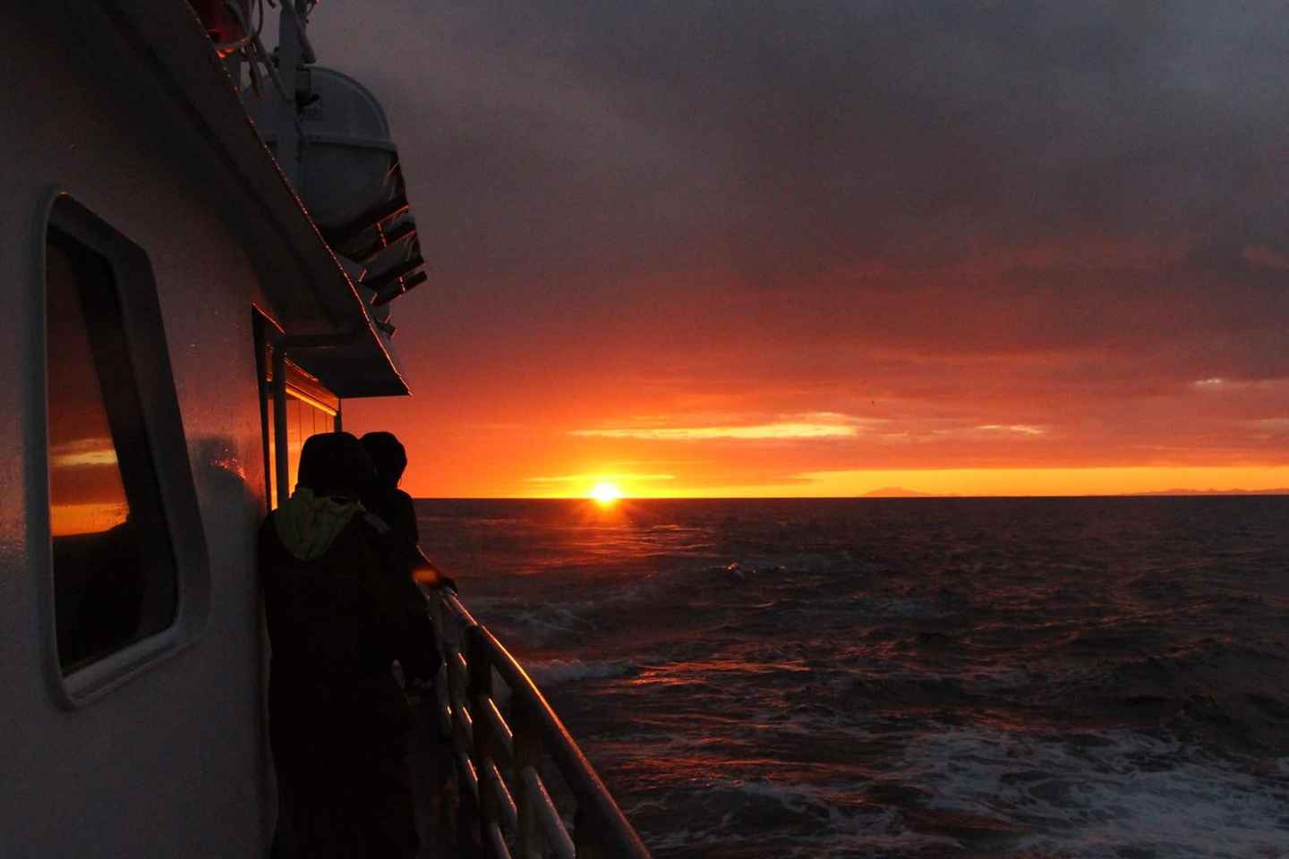 Excursion Baleines au Soleil de Minuit à Reykjavik