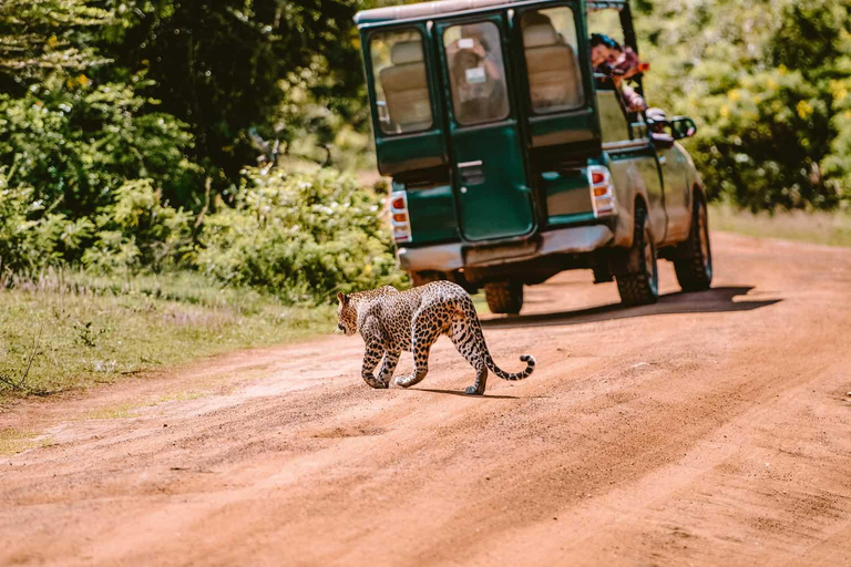 From Ella: Galle / Mirissa / Tangalle Transfer with Safari