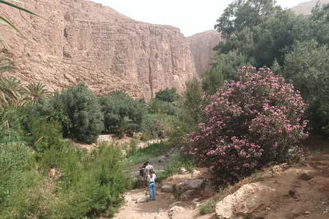 Marrakech to Fes 3 day Desert Tour Camel & luxury Tente Marrakech to Fes 3 day Desert Tour Standard Desert Tents