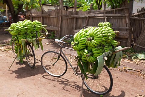 Arusha : Banana Experience, Banana Farms, Cooking & Culture