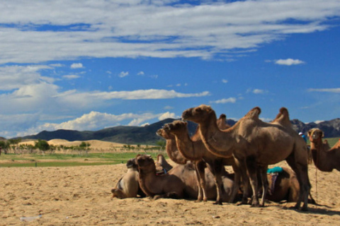 From Ulaanbaatar: 2-Day Karakorum, Mini Gobi & Hustai Tour