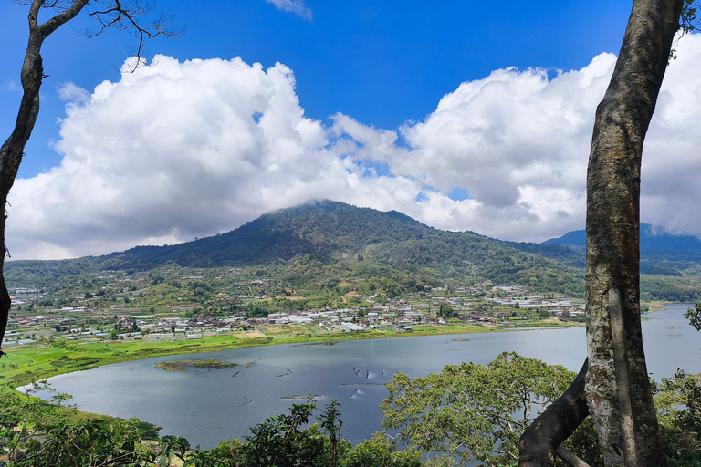 Bali: tour privato del nord di Bali con pranzo e cascataBali: tour privato del nord con pranzo e cascata