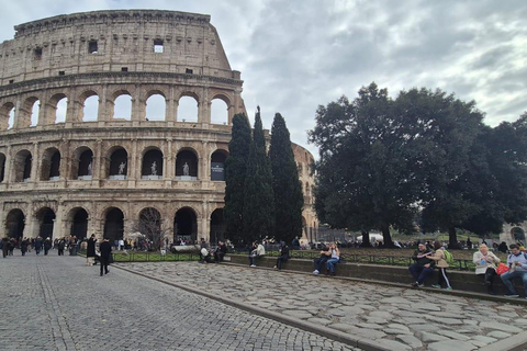 Small Group Guided Tour Colosseum Roman Forum, Palatine Hill Standard Tickets