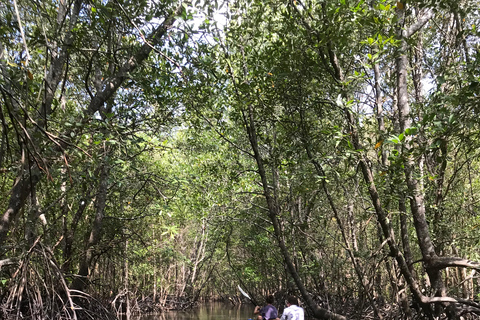 Ko Lanta: Halve Dag Tour EXPLORE MANGROVE per KAYAKING Tour