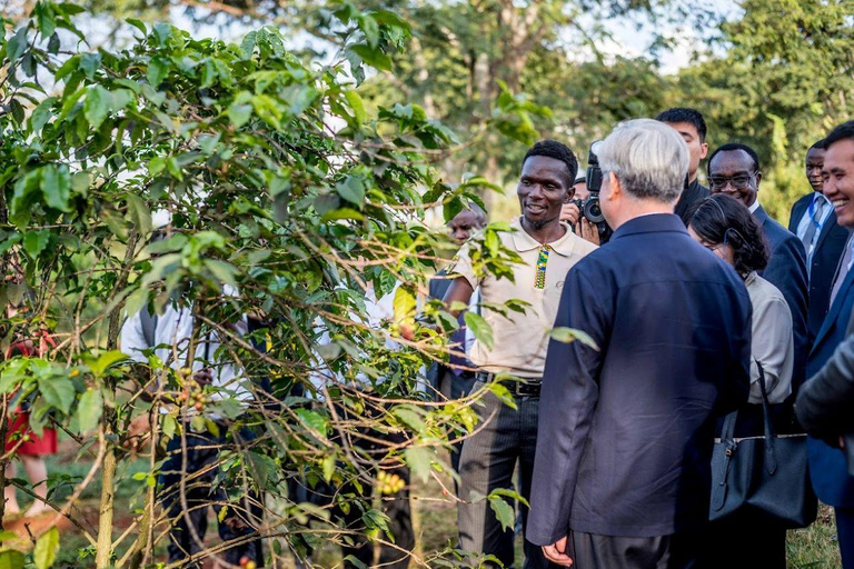 TOUR GIORNALIERO DELLA FATTORIA DEL CAFFÈ FAIRVIEW