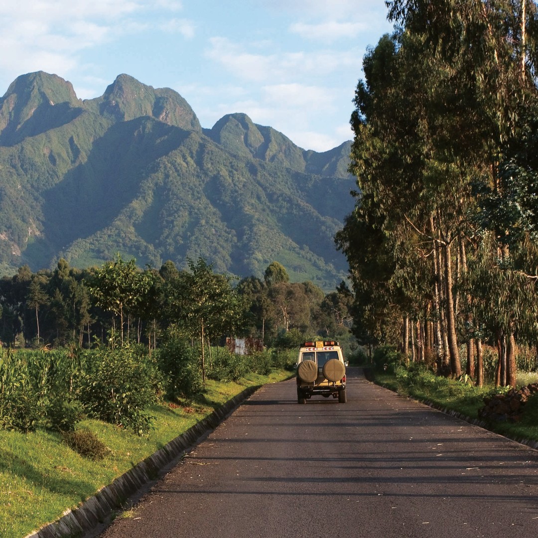 1日ハイキング（ビソケ火山） | GetYourGuide