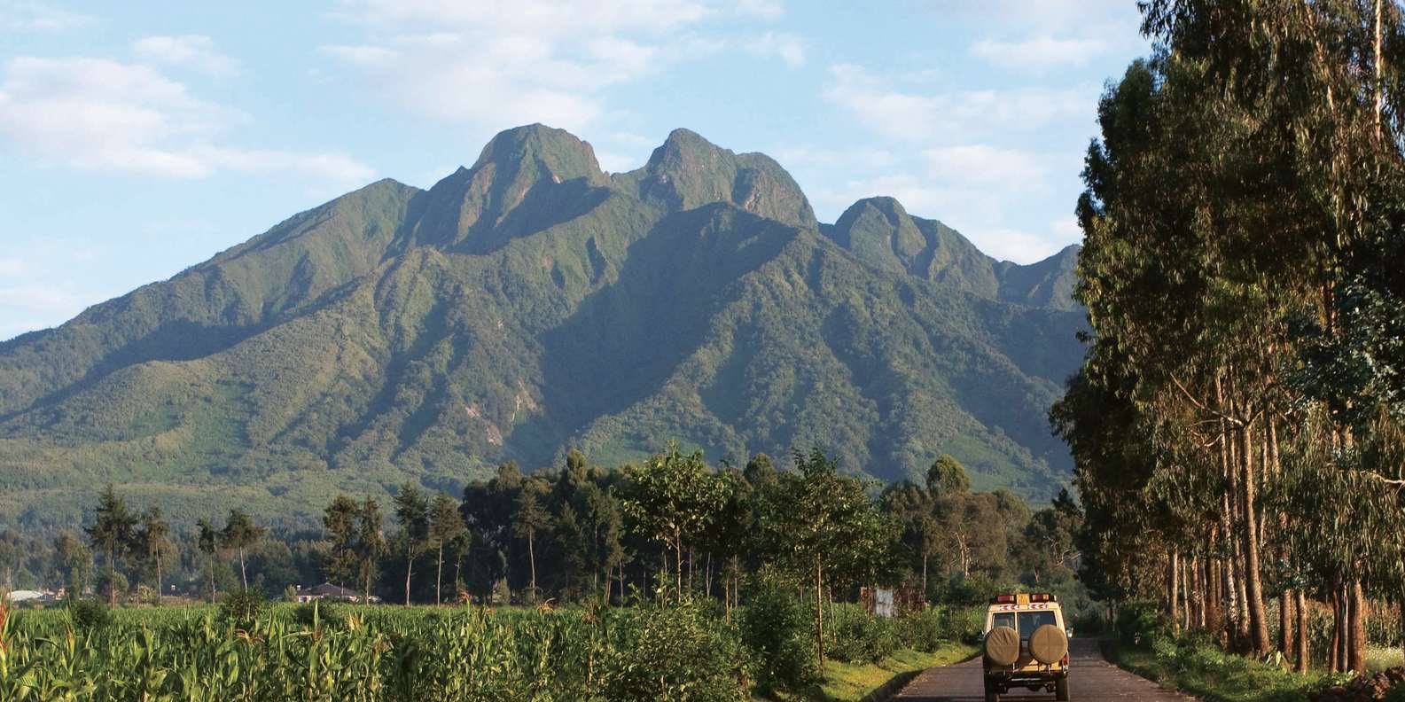 1日ハイキング（ビソケ火山） | GetYourGuide