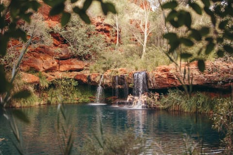 Broome to Perth 10-Day Tour via Karijini Ningaloo & Kalbarri - Image 2