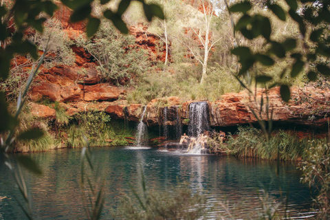 Perth to Broome 10-Day Tour via Ningaloo & Karijini