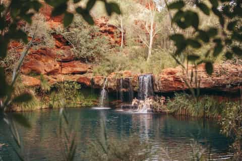 Broome to Perth 10-Day Tour via Karijini Ningaloo & Kalbarri - Image 3
