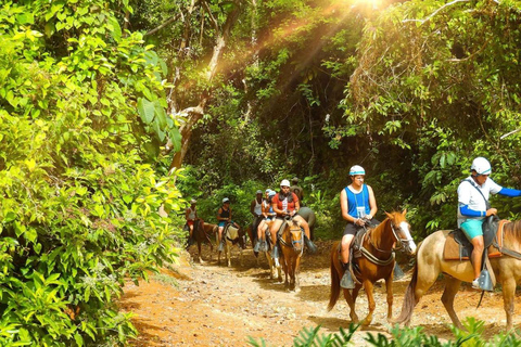 Buggies & Horses: Tropical Adventure with Beach, Nature, and Adrenaline Buggy & Horseback Riding: Tropical Adventure with Beach, Nature and Adrenaline