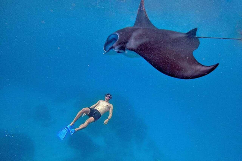 Depuis Bali : Snorkeling 3 Spots avec GoPro &amp; West Penida TourPlongée en apnée avec transfert aller-retour à Bali