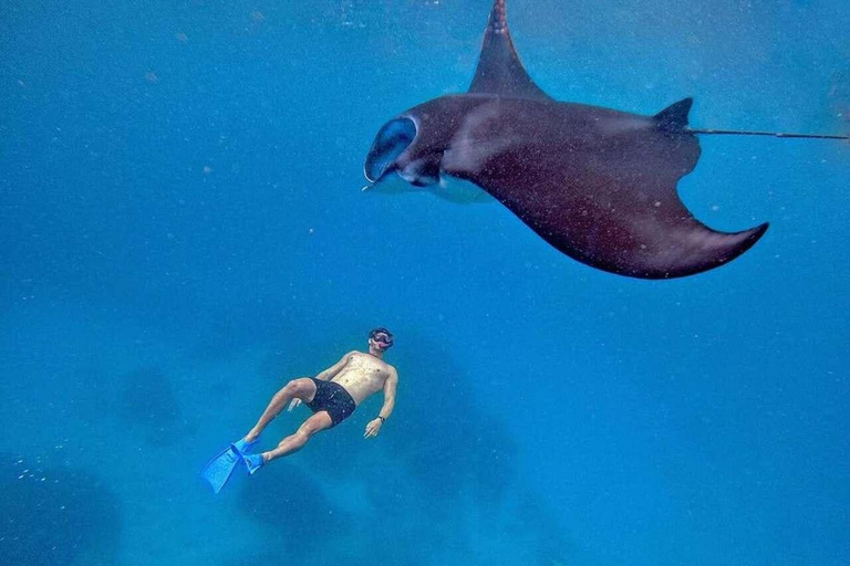 Depuis Bali : Snorkeling 3 Spots avec GoPro &amp; West Penida TourPlongée en apnée avec transfert aller-retour à Bali