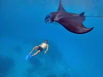 Desde Bali: Snorkel en 3 Puntos con GoPro y Excursión a Penida Occidental