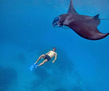 Vanuit Bali: Snorkelen 3 Spots met GoPro & West Penida Tour