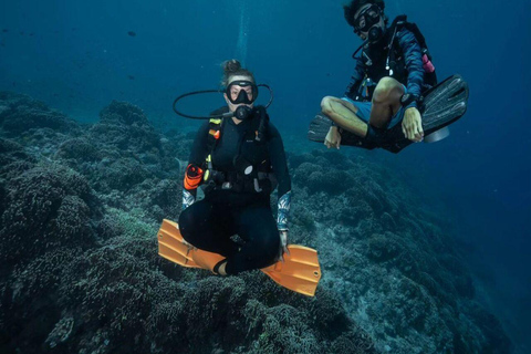 Expérience de plongée sous-marine sur le côté ou à AlanyaDe côté