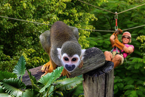 Monkeyland Punta Cana : visite guidée de la jungle naturelle et du safari