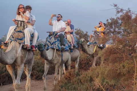 Agadir: Paseo en camello con bebida de té