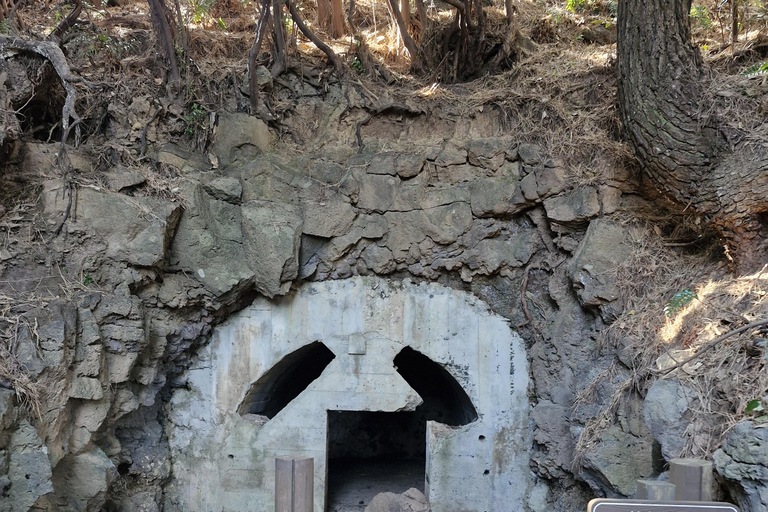 Jeju: 4.3 Geschichtliche und kulturelle Tour mit einem Guide