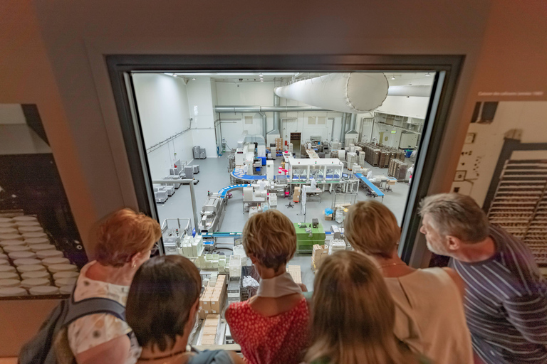 Aix-en-Provence: Guided tour of the Jardins du Roy and the Calisson Museum Le Roy René: guided tour of the King's Gardens and the Calisson Museum