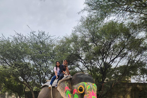 Jaipur: Hathi Gaon Elephant Riding, Painting, Feeding & More Riding on Elephant with Photogarphy
