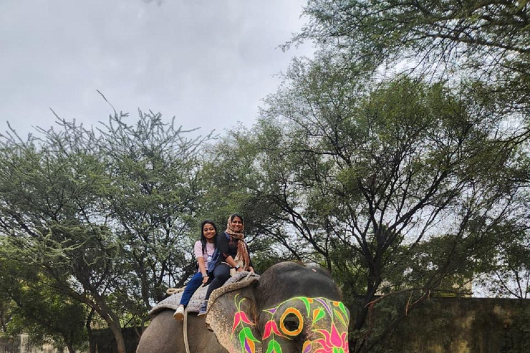 Jaipur: Hathi Gaon Elephant Riding, Painting, Feeding & More Riding on Elephant with Photogarphy