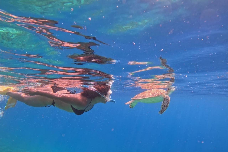 Gili Air : Snorkelen zwemmen met schildpad &amp; standbeeld