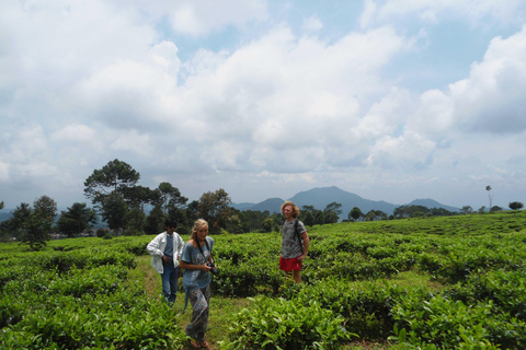 Passeios de destaque em Cianjur