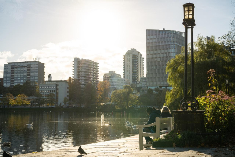 Private Stavanger city Highlights Driving tour