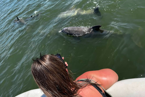 Cocoa Beach: Dolphin & Manatee Small Group Eco Boat Tour