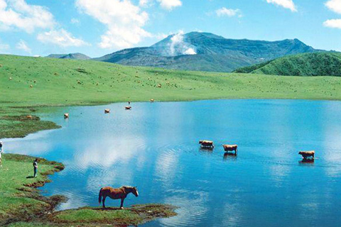 Fukuoka: Excursión de un día al Volcán Aso, Onsen y Castillo de Kumamoto