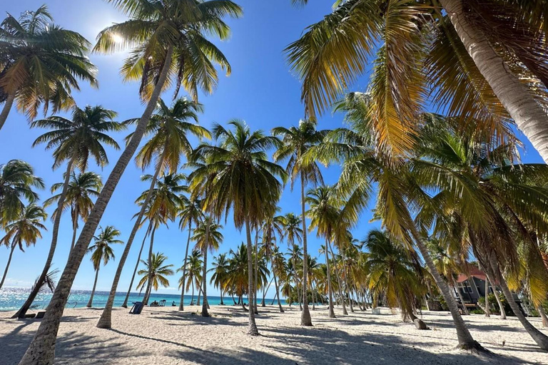 Saona Tour for Mein Schiff passengers from La Romana port