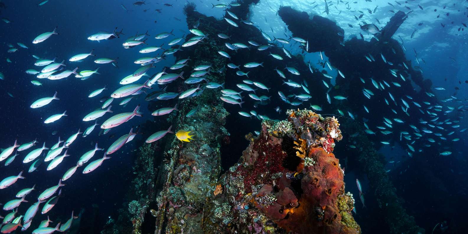Bali: Tulamben Shipwreck Snorkeling & Water Palace Tour