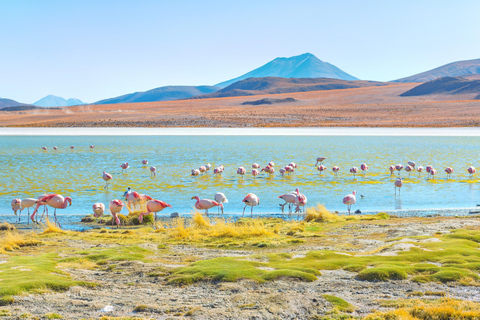 From San Pedro de Atacama: Uyuni Salt Flat 3-Days Uyuni: Uyuni Salt Lake from San Pedro de Atacama - 3 days