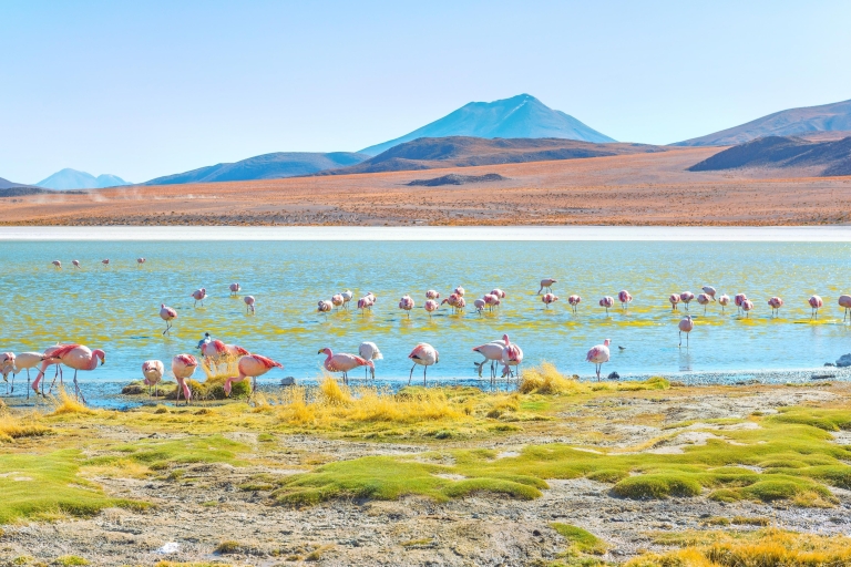 From San Pedro de Atacama: Uyuni Salt Flat 3-Days Uyuni: Uyuni Salt Lake from San Pedro de Atacama - 3 days