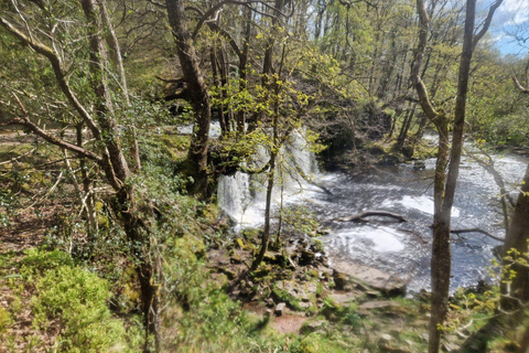 Excursión guiada de un día a las 4 cascadas de Breacon Beacons desde Cardiff