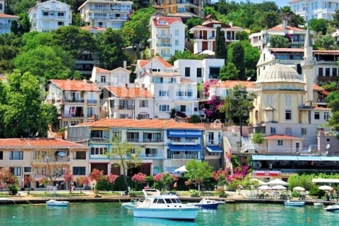 Istanbul: Prince's Island Tour with Lunch and 2 Islands