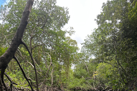 Rincon Beach och Cayo Levantado från Punta Cana