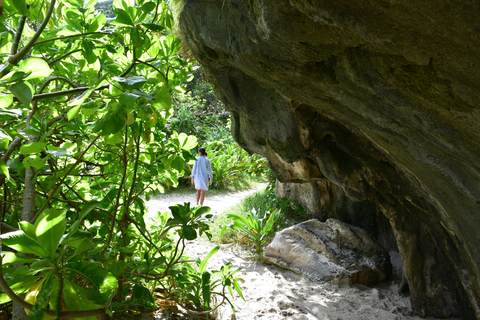 Krabi to Phi Phi Cove: Speedboat & Longtail Island Combo The Essentials