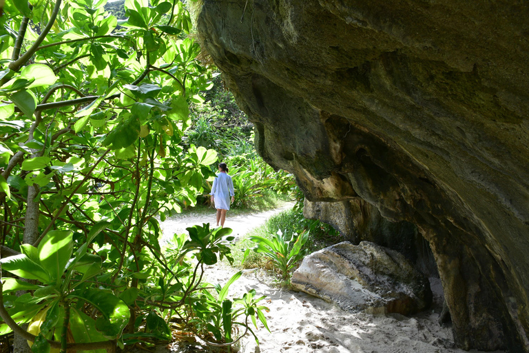 Krabi to Phi Phi Cove: Speedboat & Longtail Island Combo The Essentials