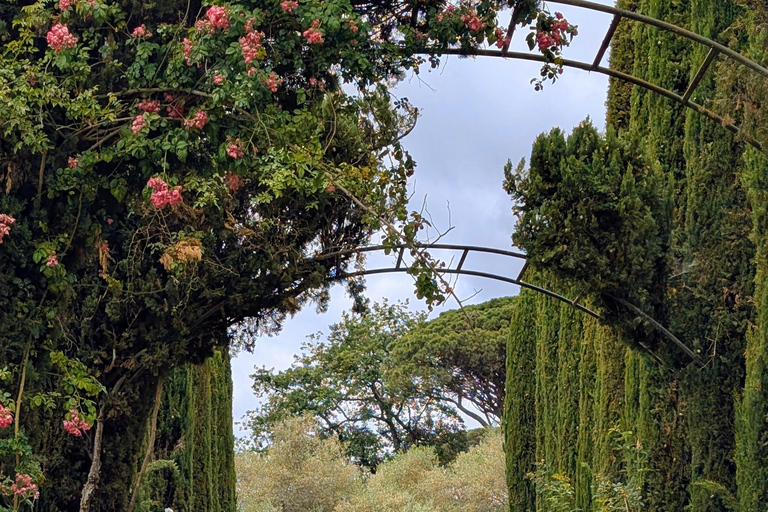 Discover Château de Saurs: guided visit & tasting straight from the barrel Discover Château de Saurs: Guided Visit & Barrel Tasting